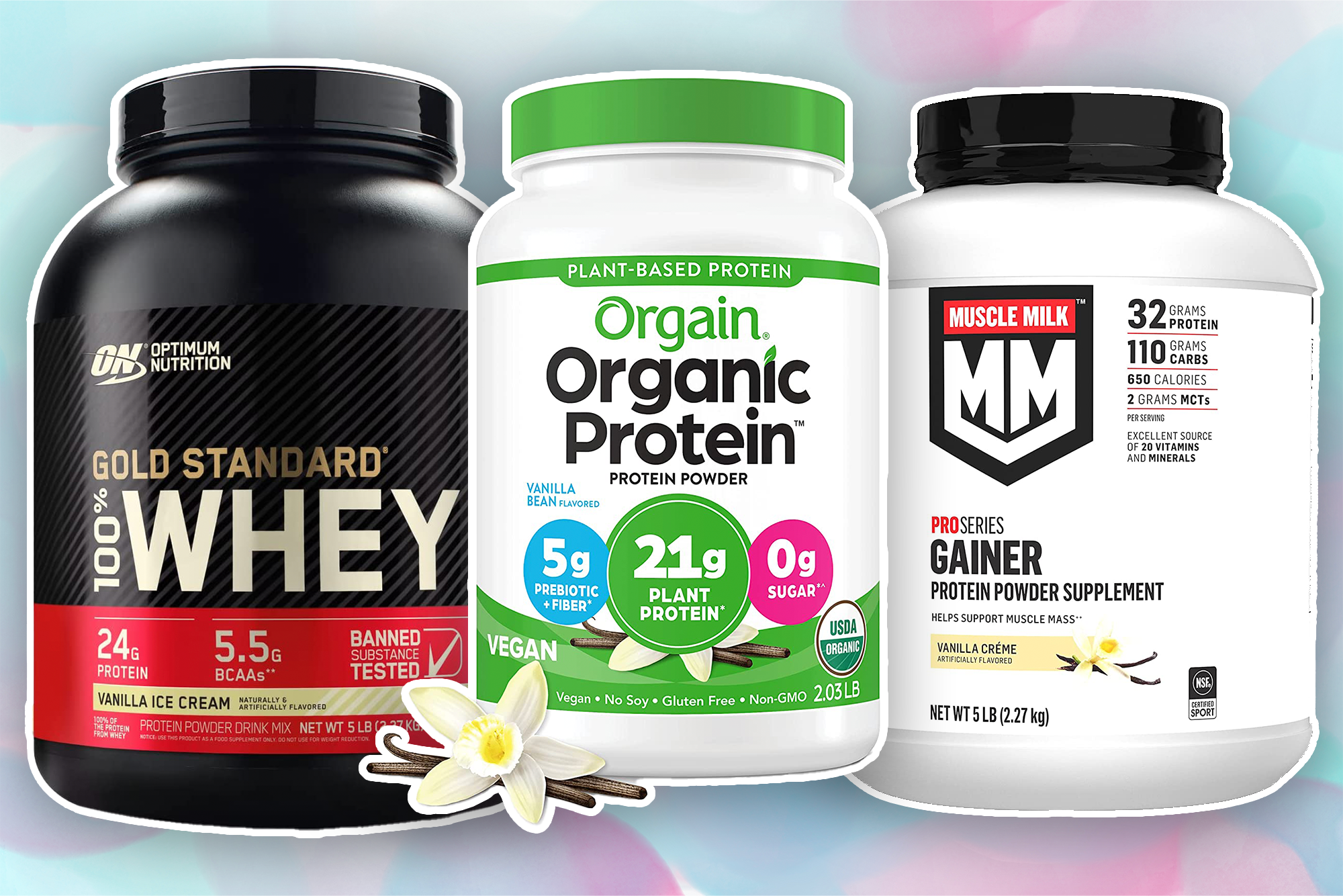 Garden Life Protein Powder Review Unleashing the Power of Plant-Based Nutrition